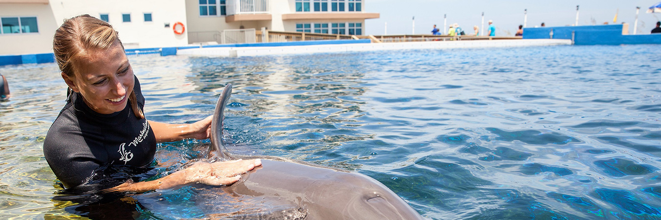 Careers | Marineland Dolphin Adventure