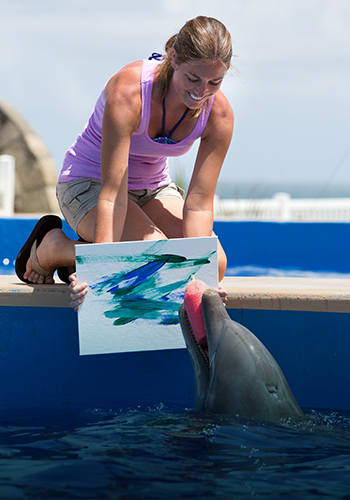 Dolphin Designs Marineland