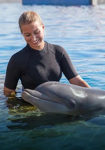 Marineland Experience Slider Trainer For A Day