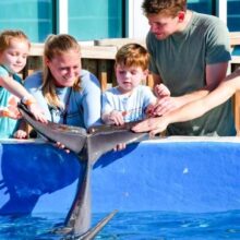 marineland-banner-meet-and-greet-new