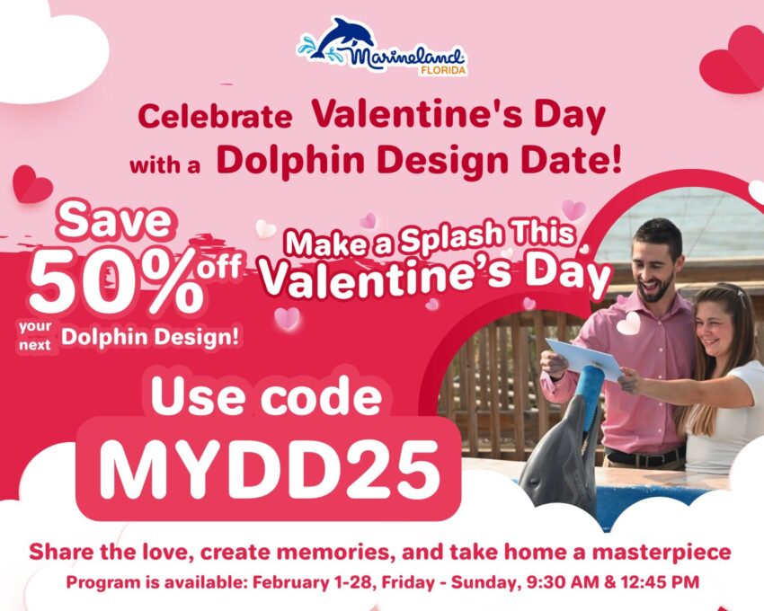 Celebrate Valentine's Day with Dolphin Design Date Mobile