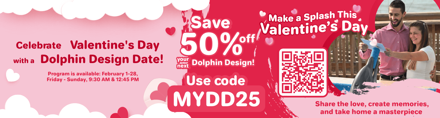 Celebrate Valentine's Day with Dolphin Design Date